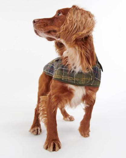 Tartan Gesteppter Hundemantel – Farbe Tartan
