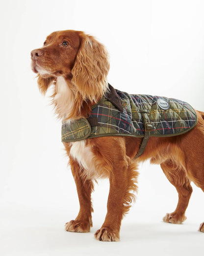 Tartan Gesteppter Hundemantel – Farbe Tartan
