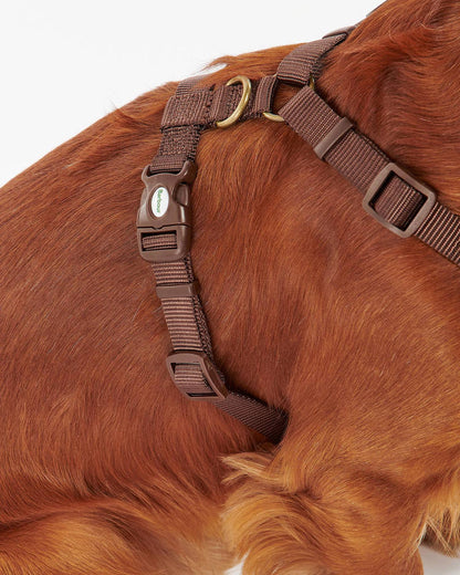 Hundegeschirr Travel & Exercise - Classic Tartan