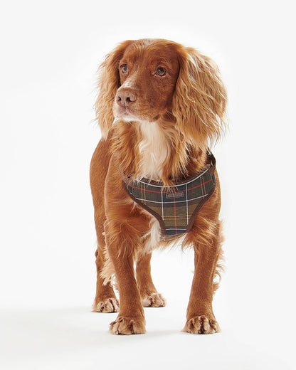Hundegeschirr Travel & Exercise - Classic Tartan