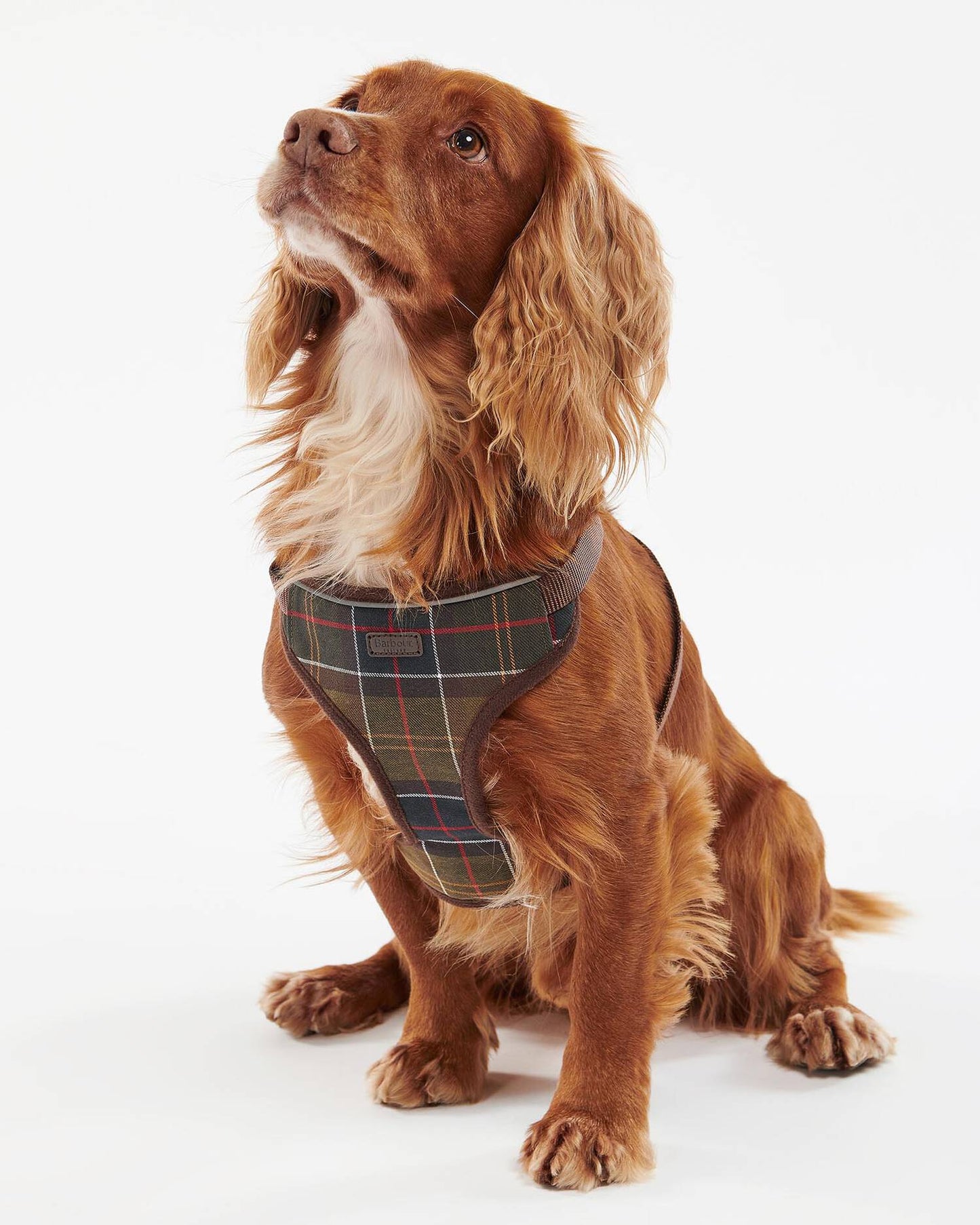 Hundegeschirr Travel & Exercise - Classic Tartan