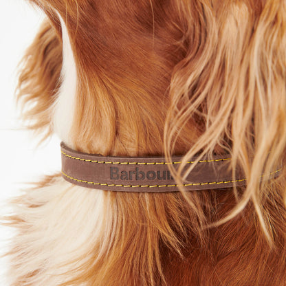 Hundehalsband aus Leder - Farbe Braun