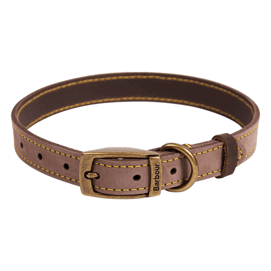 Hundehalsband aus Leder - Farbe Braun
