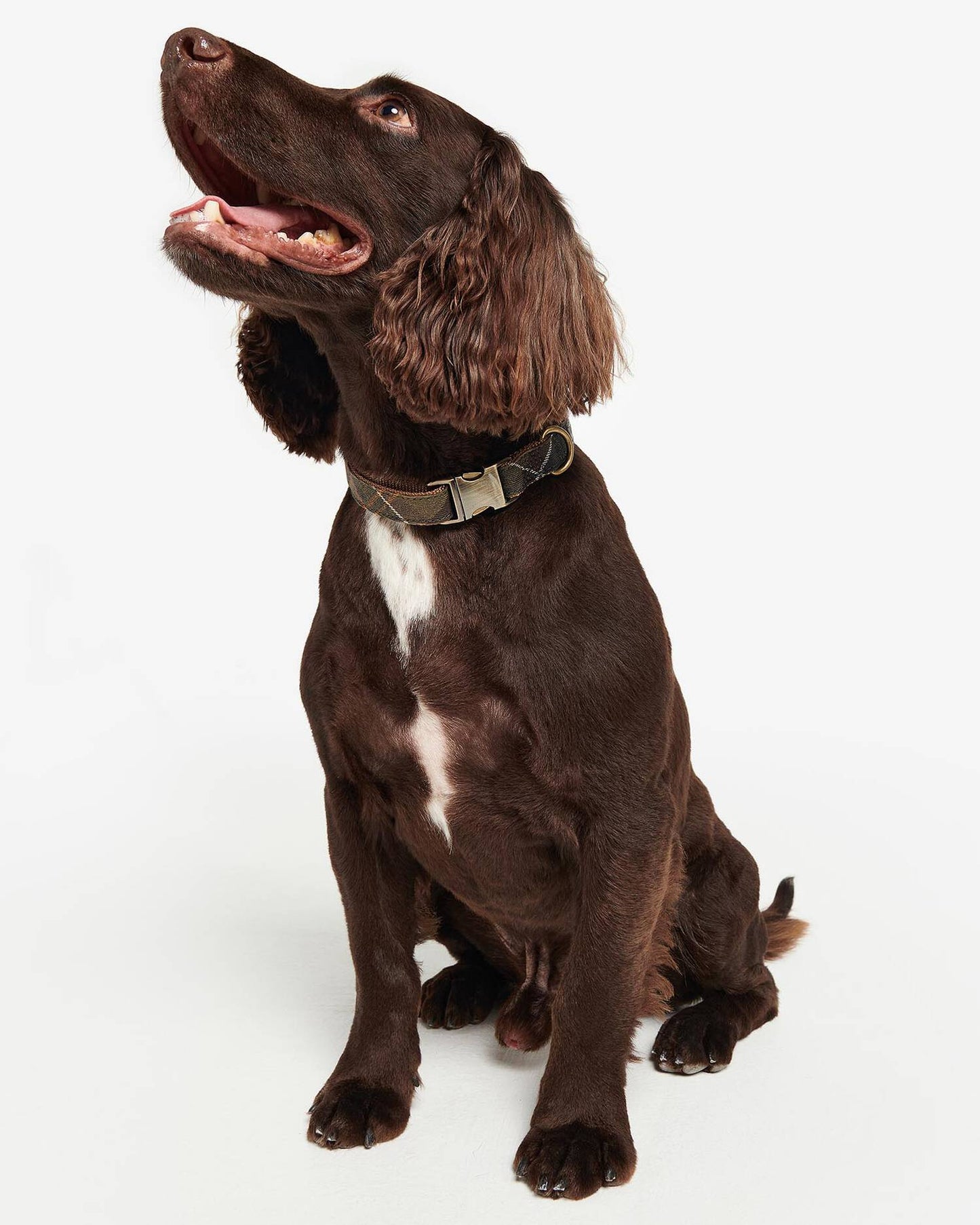 Hundehalsband Reflective in Tartan