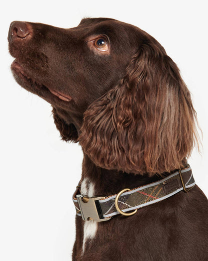 Hundehalsband Reflective in Tartan