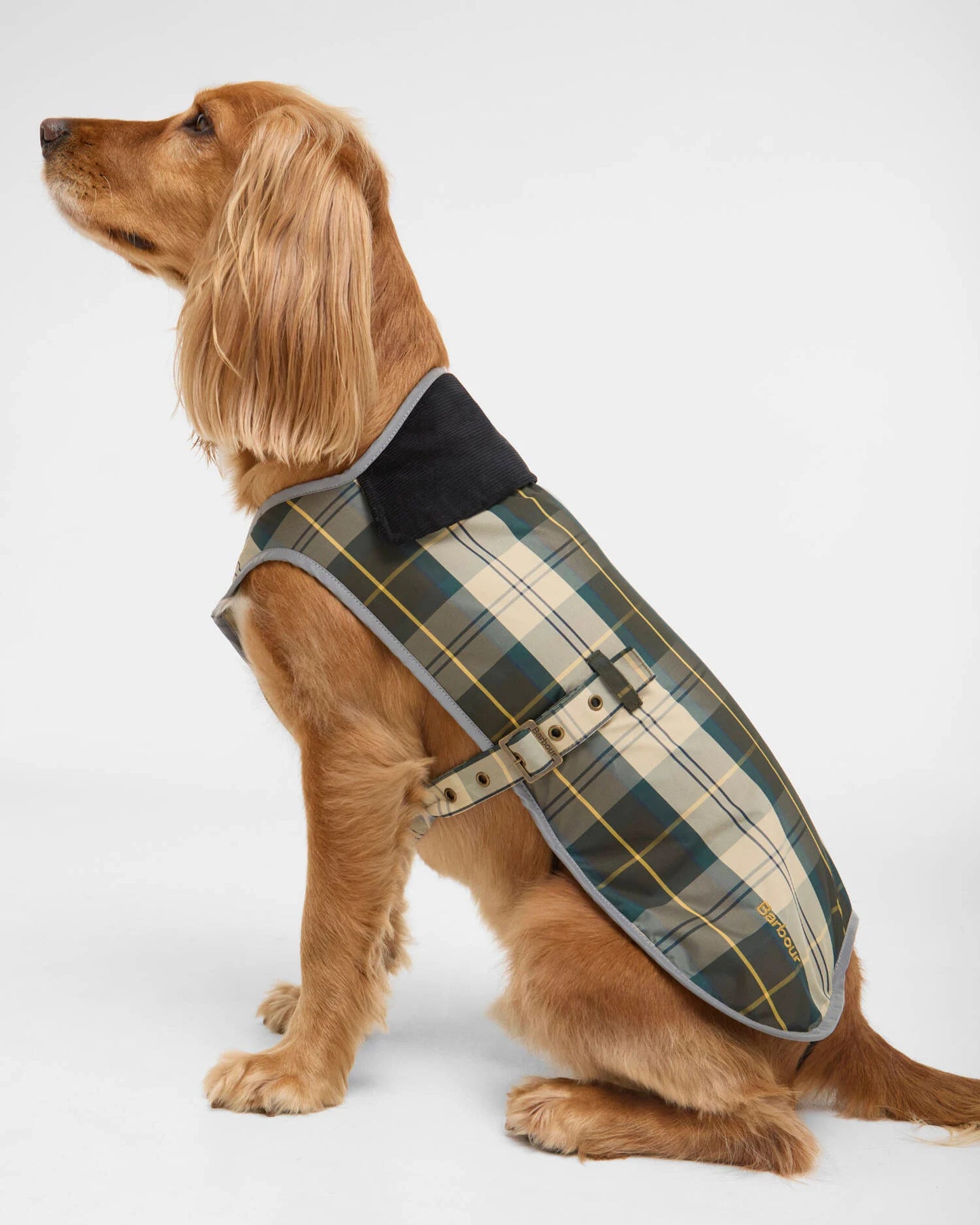 Waterproof Hundemantel mit reflektierendem Rand – Farbe Ancient Tartan