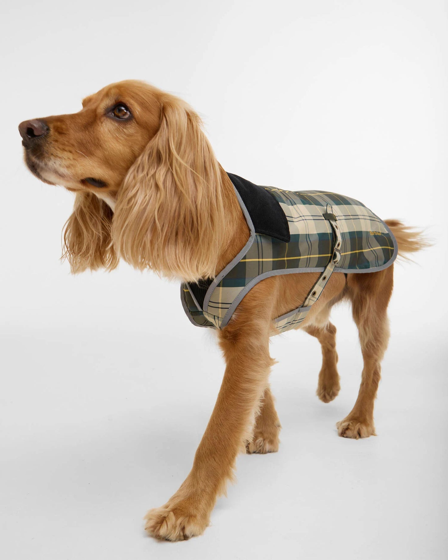 Waterproof Hundemantel mit reflektierendem Rand – Farbe Ancient Tartan