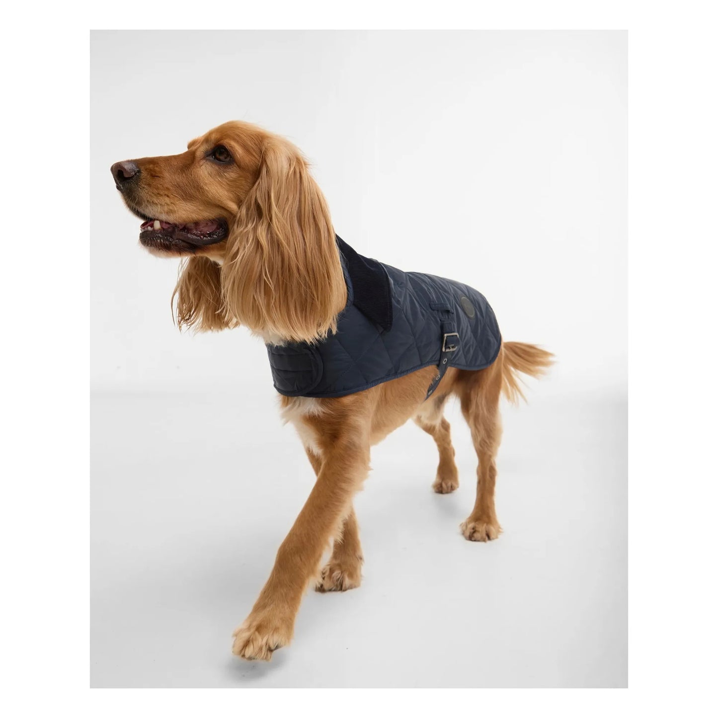 Quilted Hundemantel mit Steppmuster – Farbe Navy
