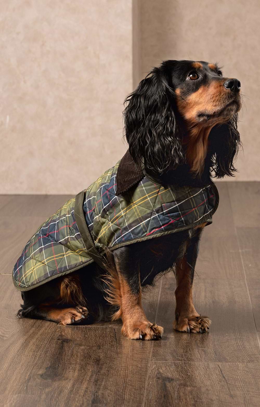 Quilted Hundemantel mit Steppmuster – Farbe Tartan
