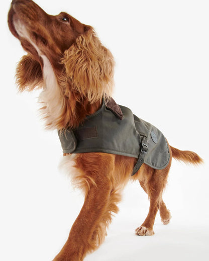 Gewachster Hundemantel mit Tartan-Futter - Farbe Olive