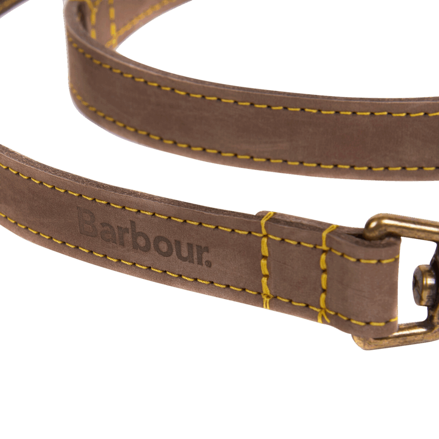 Hundeleine aus Leder - Farbe Braun