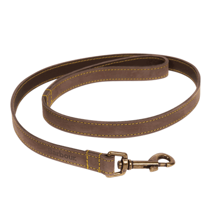 Hundeleine aus Leder - Farbe Braun