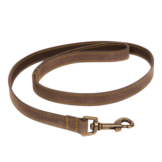 Hundeleine aus Leder - Farbe Braun