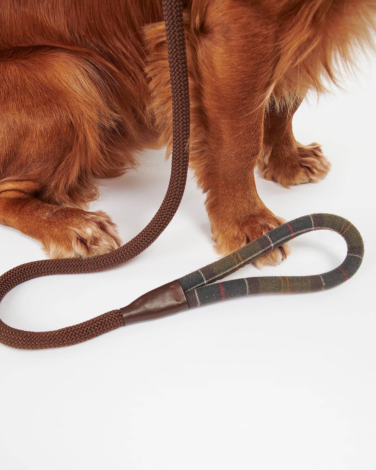 Hundeleine Trim mit integriertem Schlupfhalsband