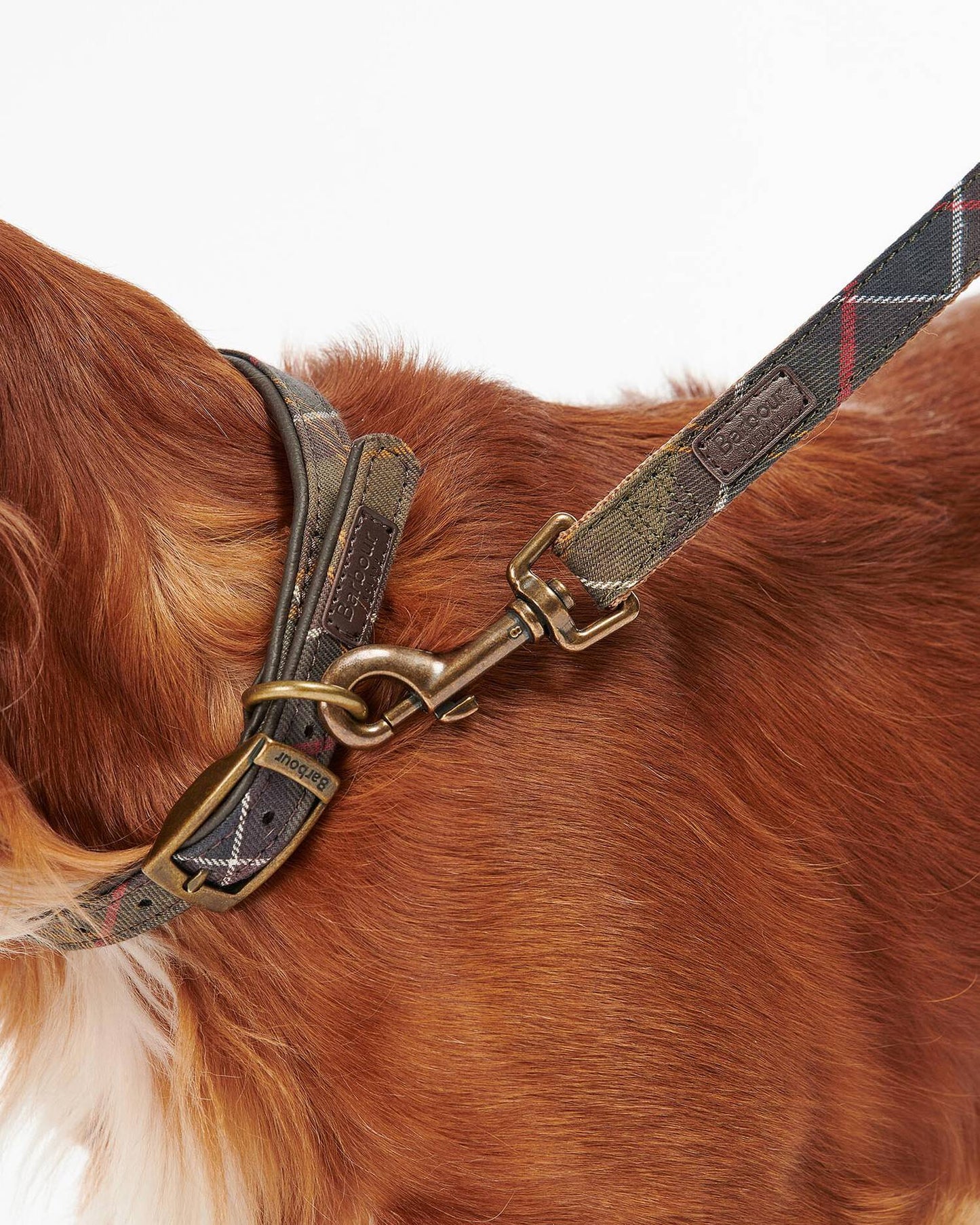 Hundeleine Webbing in Tartan