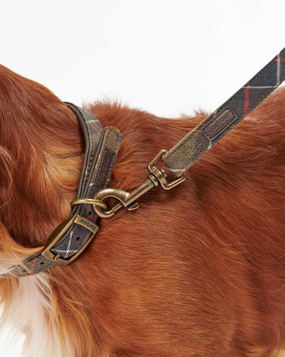 Hundeleine Webbing in Tartan