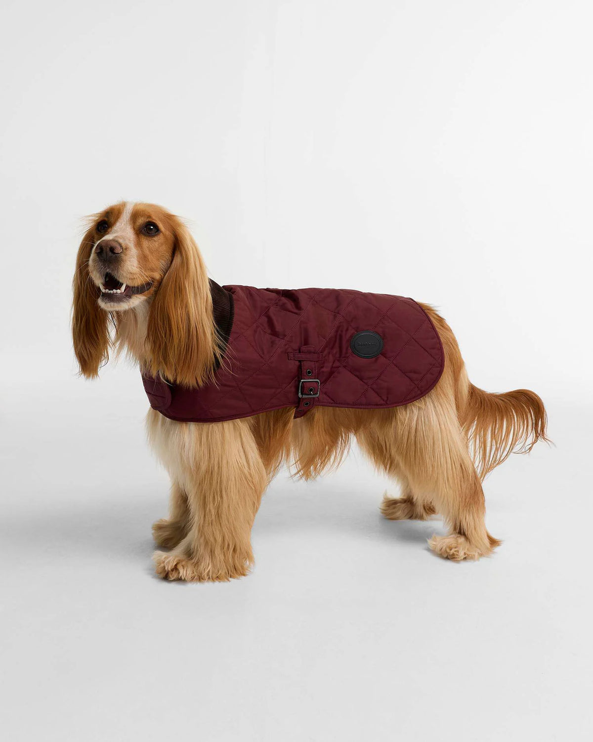 Quilted Gesteppter Hundemantel – Farbe Rosewood