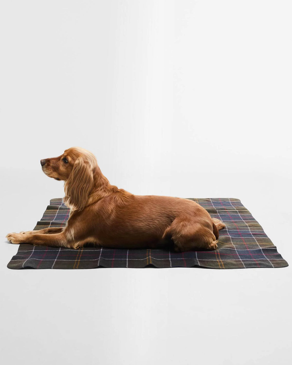 Weiche Hundedecke im Tartan Muster