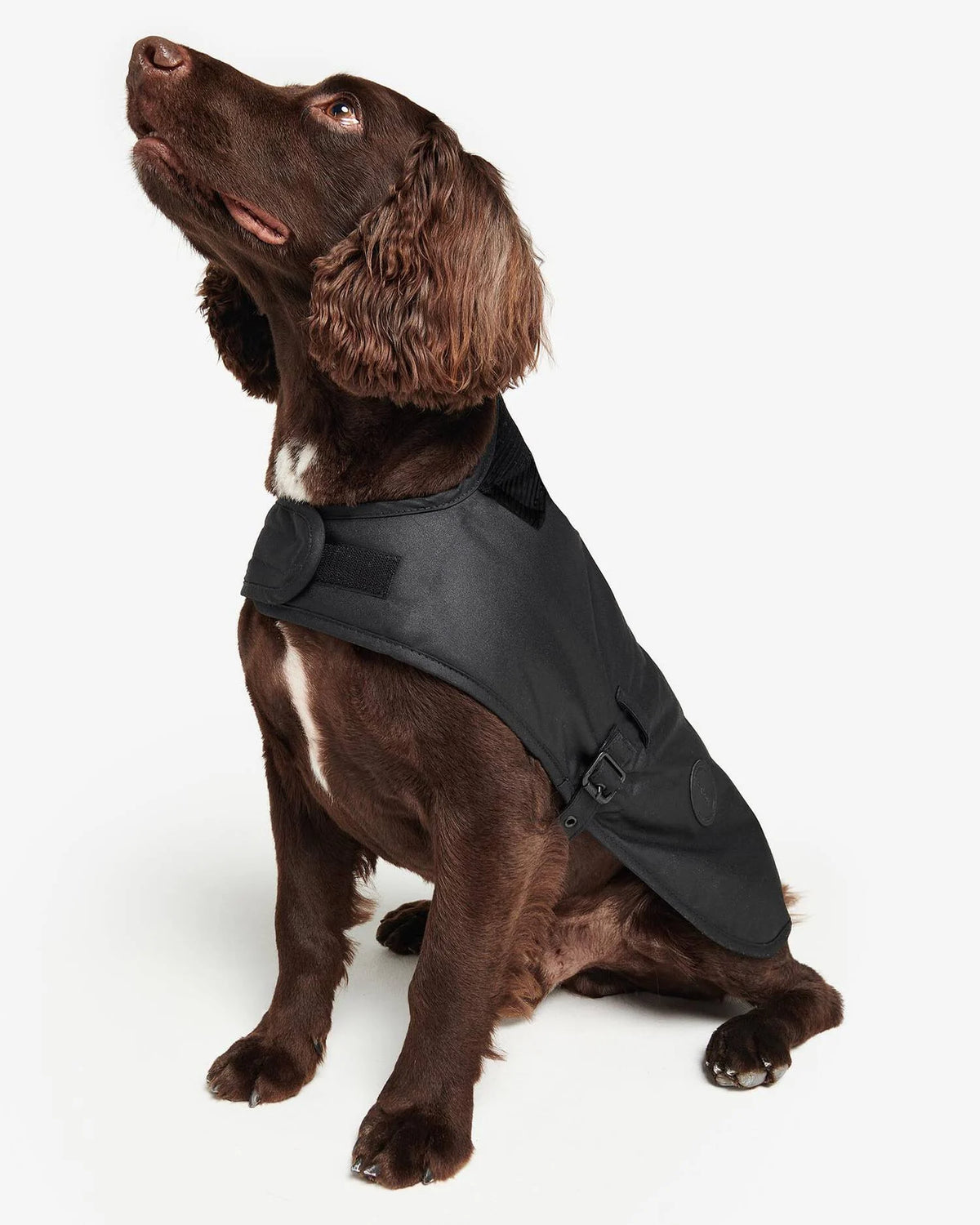 Waxed (Sylkoil) Hundemantel aus gewachster Baumwolle – Farbe Schwarz