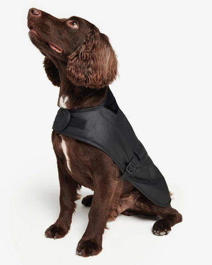 Waxed (Sylkoil) Hundemantel aus gewachster Baumwolle – Farbe Schwarz