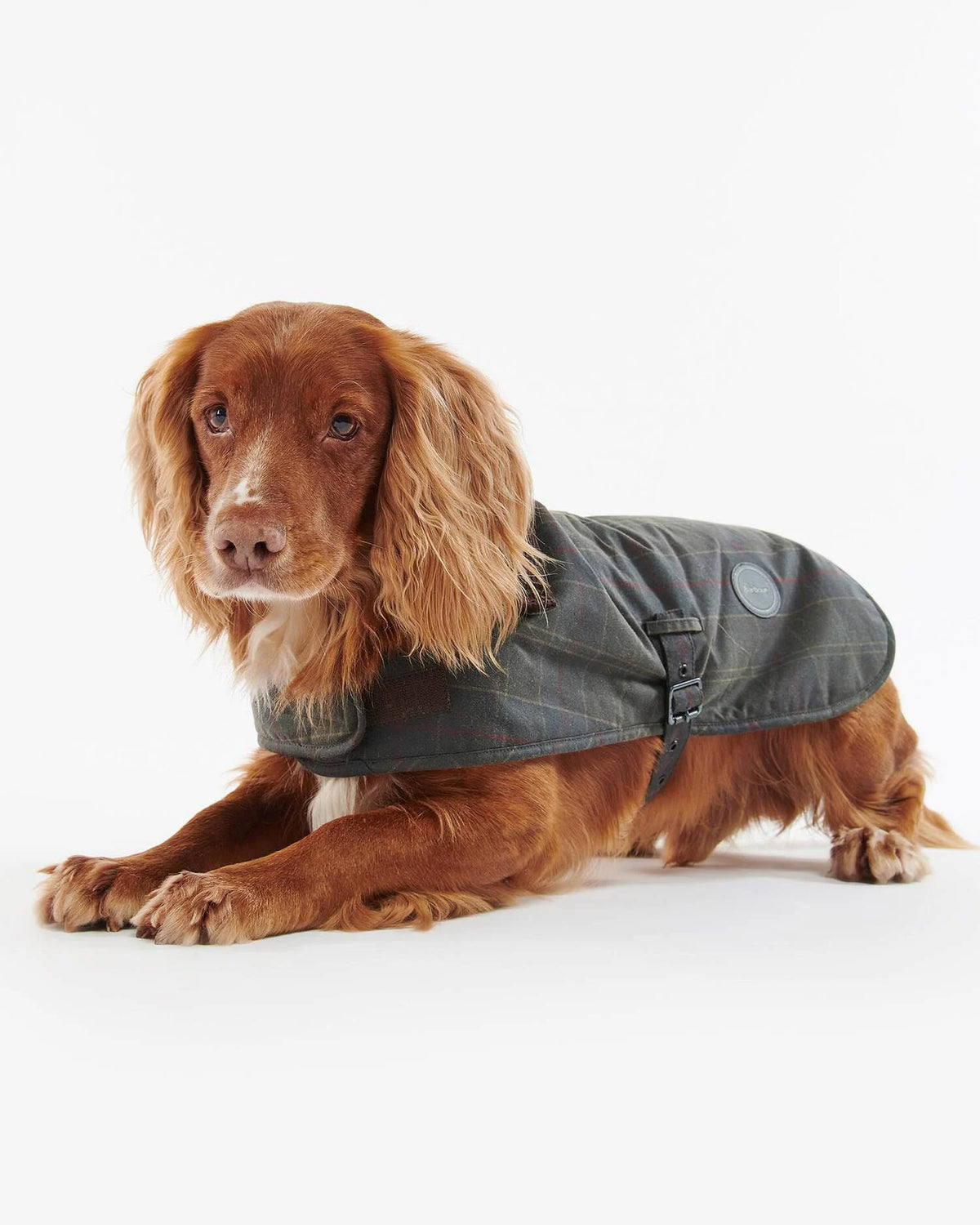 Waxed Hundemantel aus gewachster Baumwolle – Classic Tartan