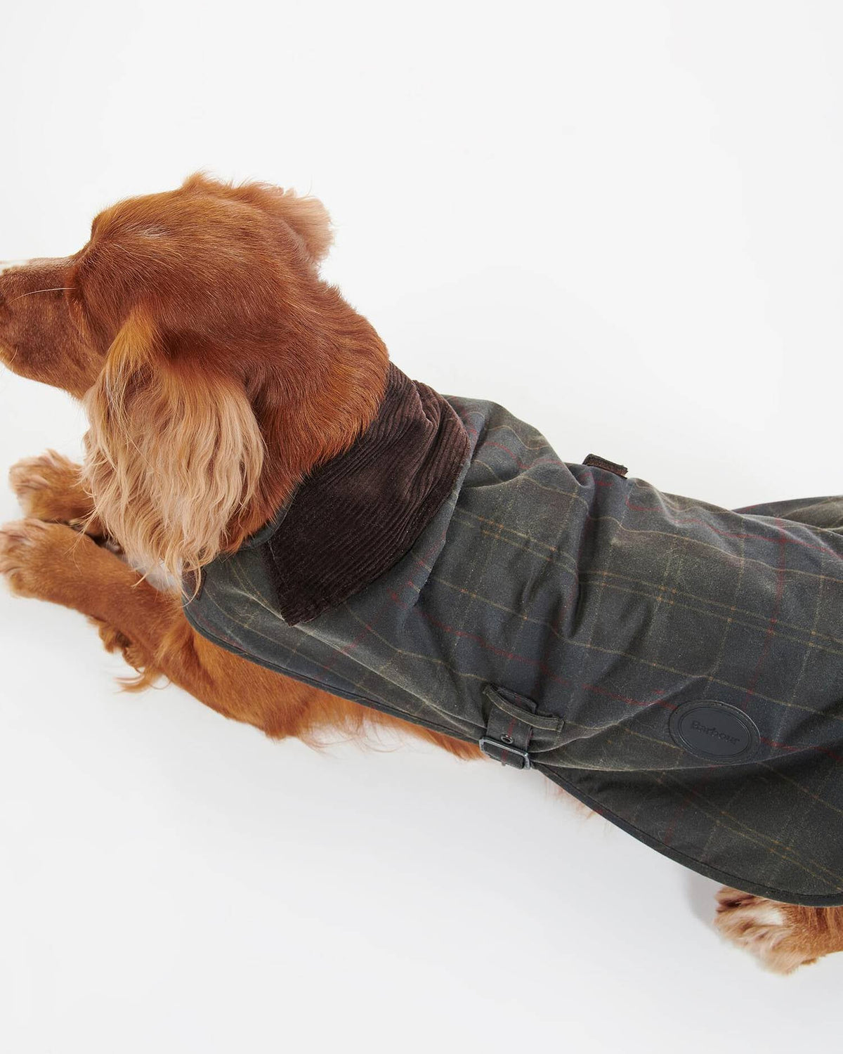 Waxed Hundemantel aus gewachster Baumwolle – Classic Tartan
