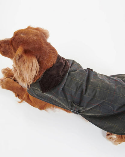 Waxed Hundemantel aus gewachster Baumwolle – Classic Tartan