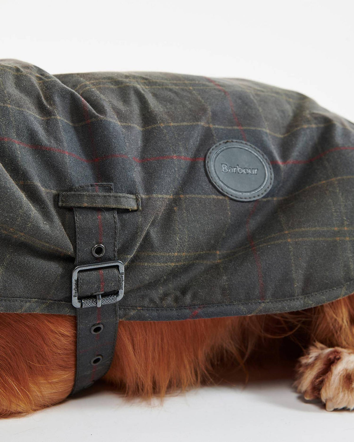 Waxed Hundemantel aus gewachster Baumwolle – Classic Tartan
