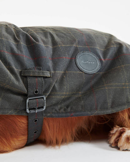 Waxed Hundemantel aus gewachster Baumwolle – Classic Tartan
