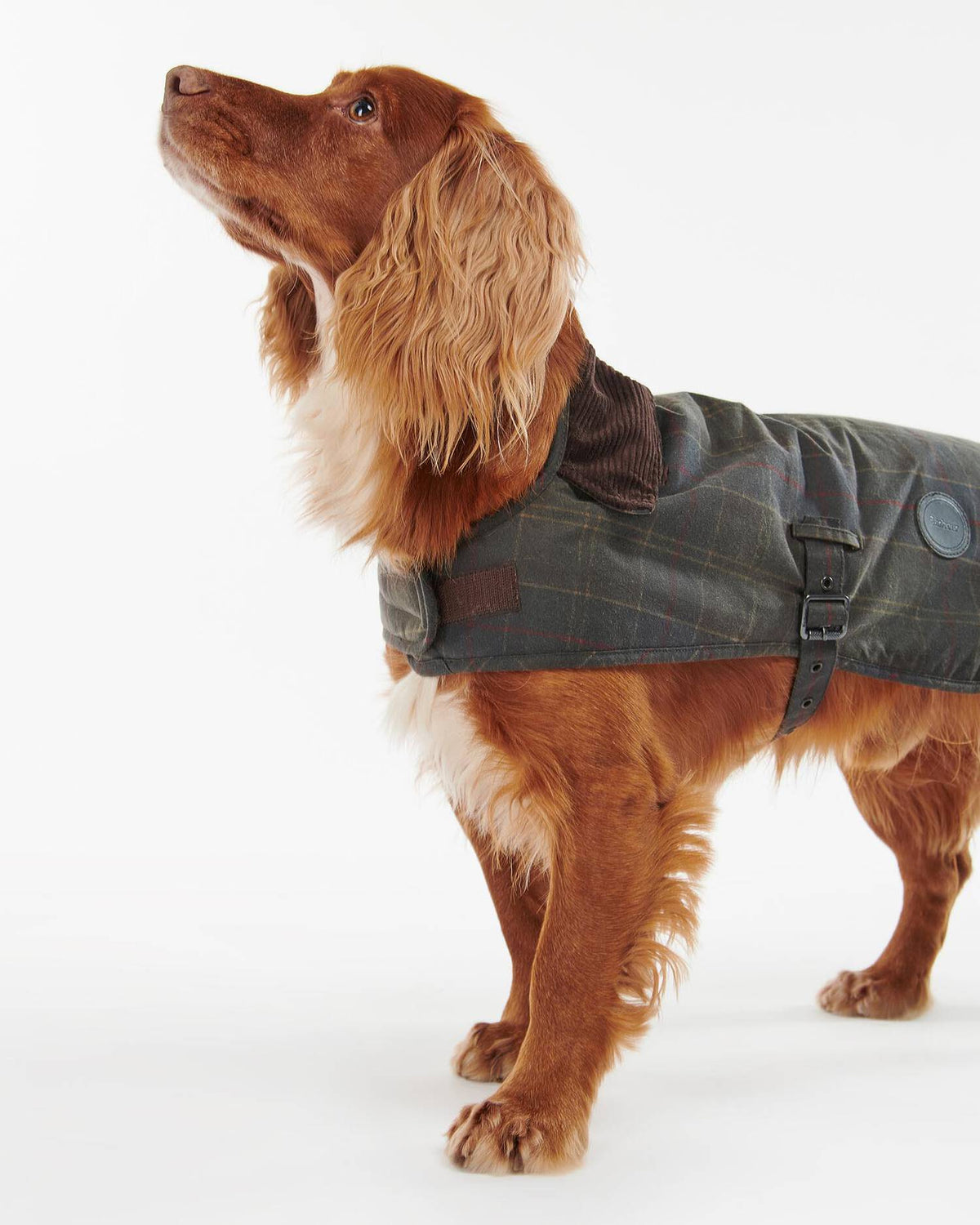 Waxed Hundemantel aus gewachster Baumwolle – Classic Tartan