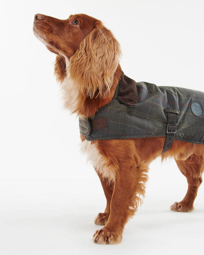 Waxed Hundemantel aus gewachster Baumwolle – Classic Tartan
