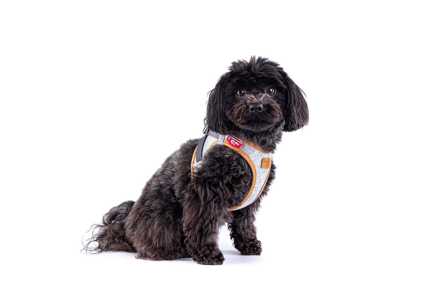 Alpine Clasp Vest Hundegeschirr – Farbe Grau