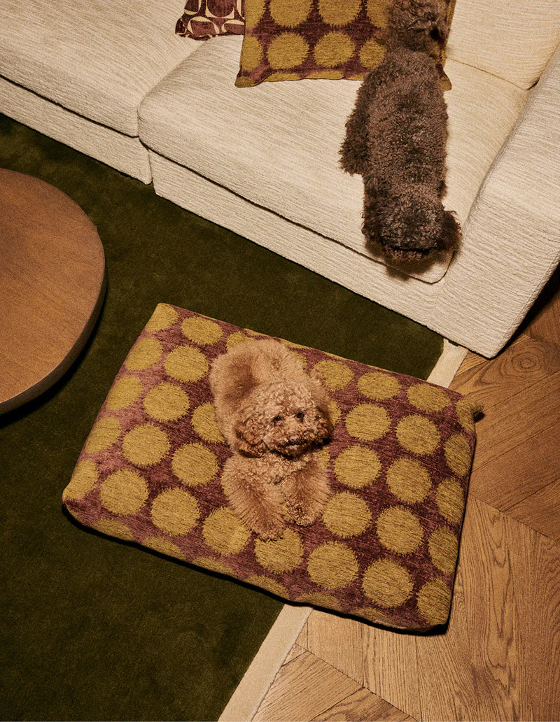 Dot Orthopädisches Hundebett – Grün/Braun, Waschbar