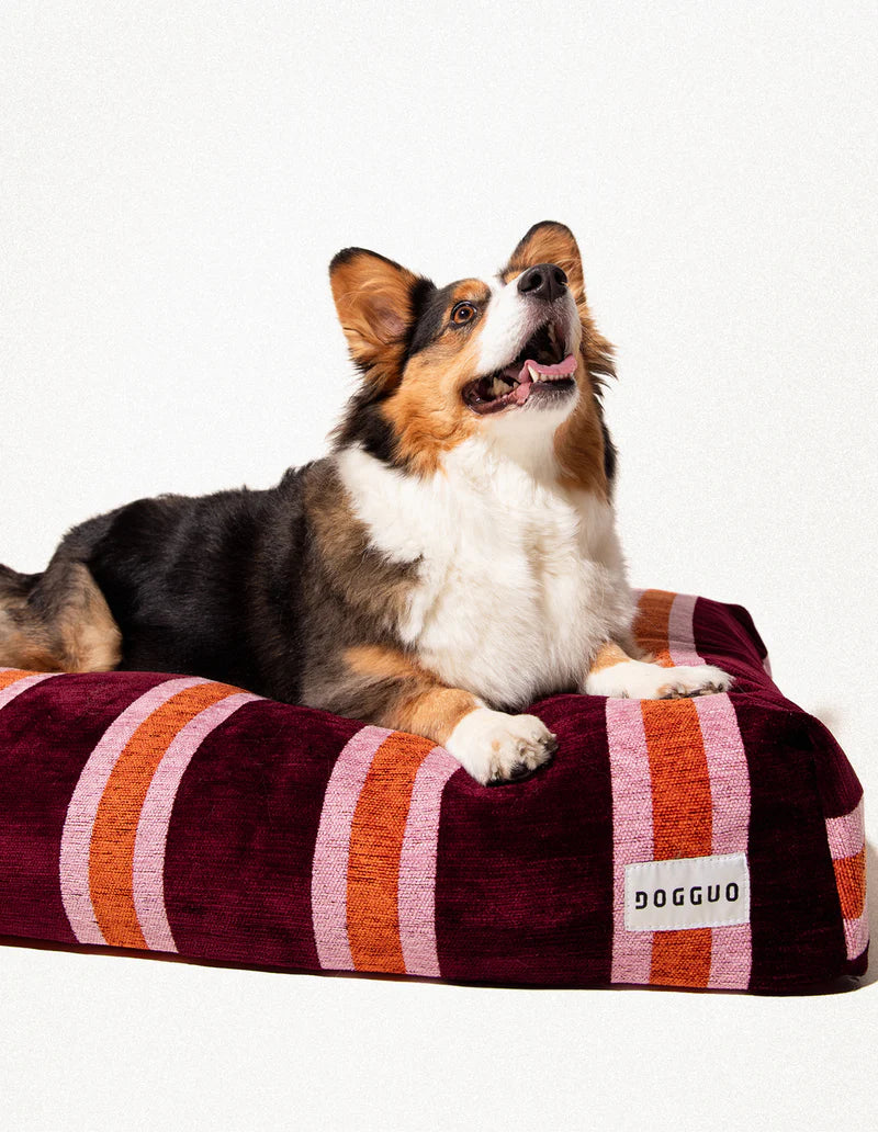 Stripe Orthopädisches Hundebett – Bunt Gestreift, Waschbar