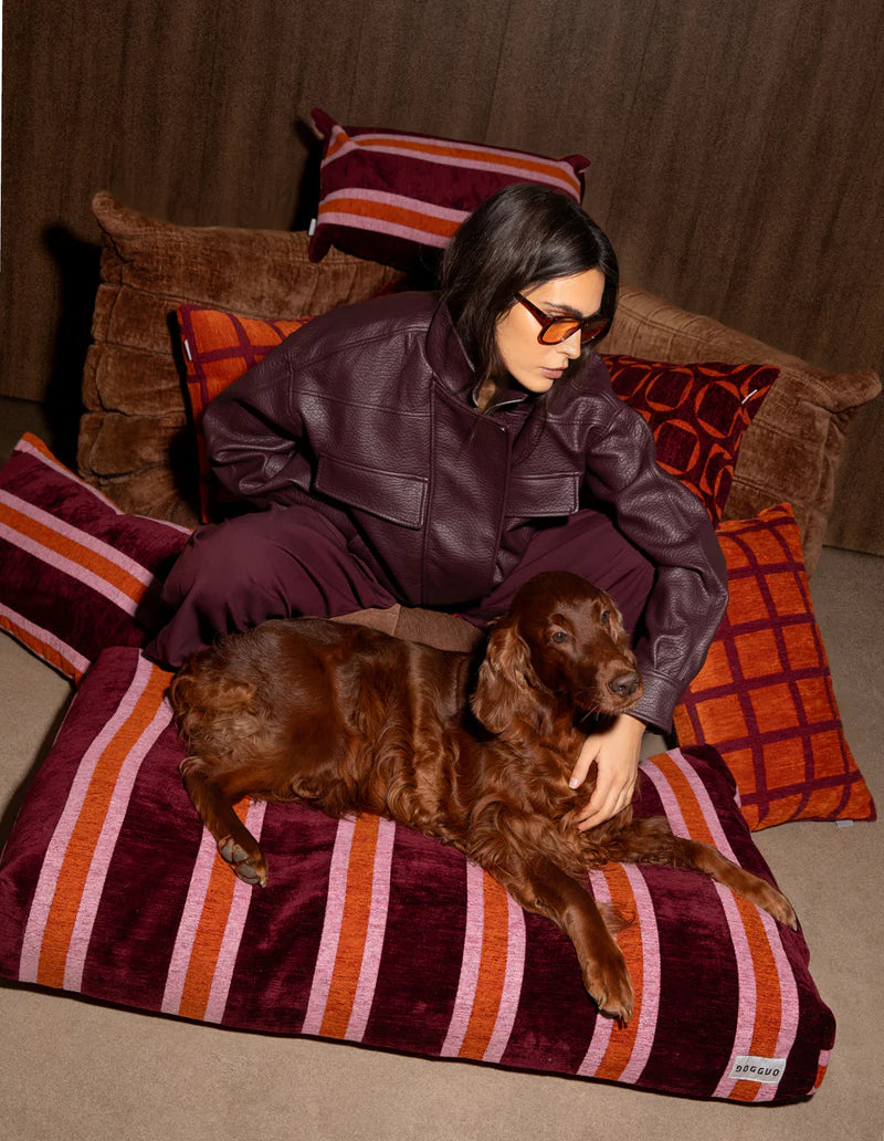 Stripe Orthopädisches Hundebett – Bunt Gestreift, Waschbar