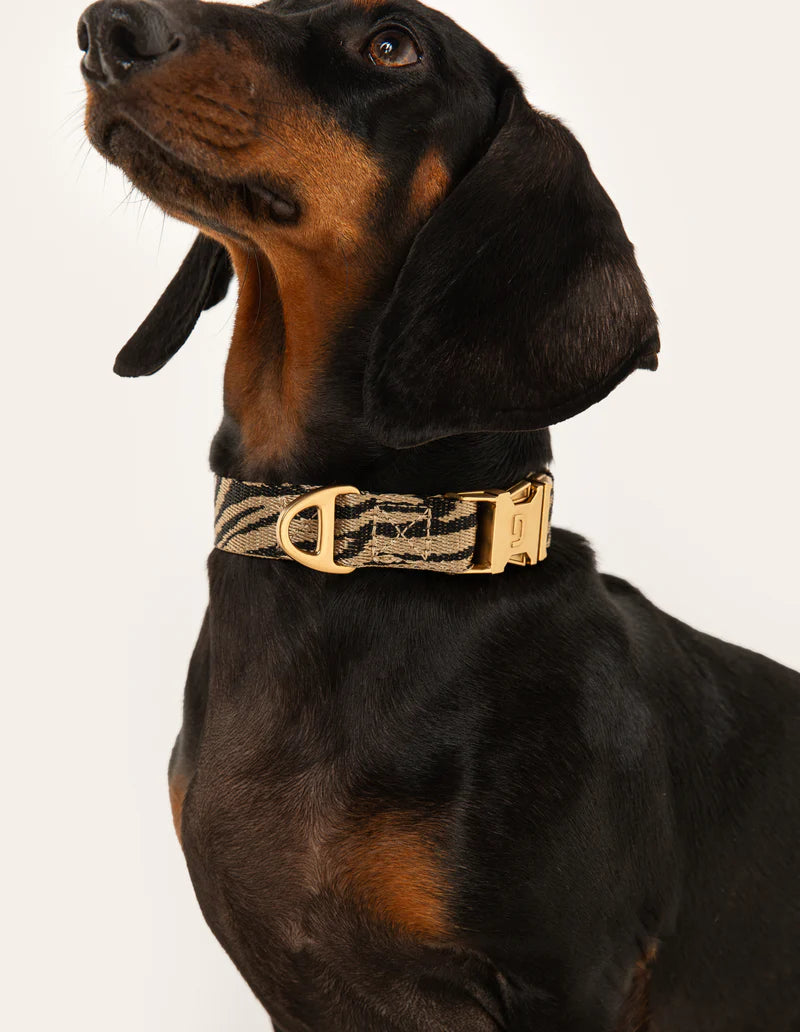 Zebra Hundehalsband - Beige/Schwarz