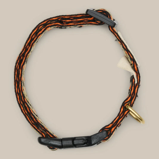 Light Puppy Collar Mini – Farbe Bright Orange