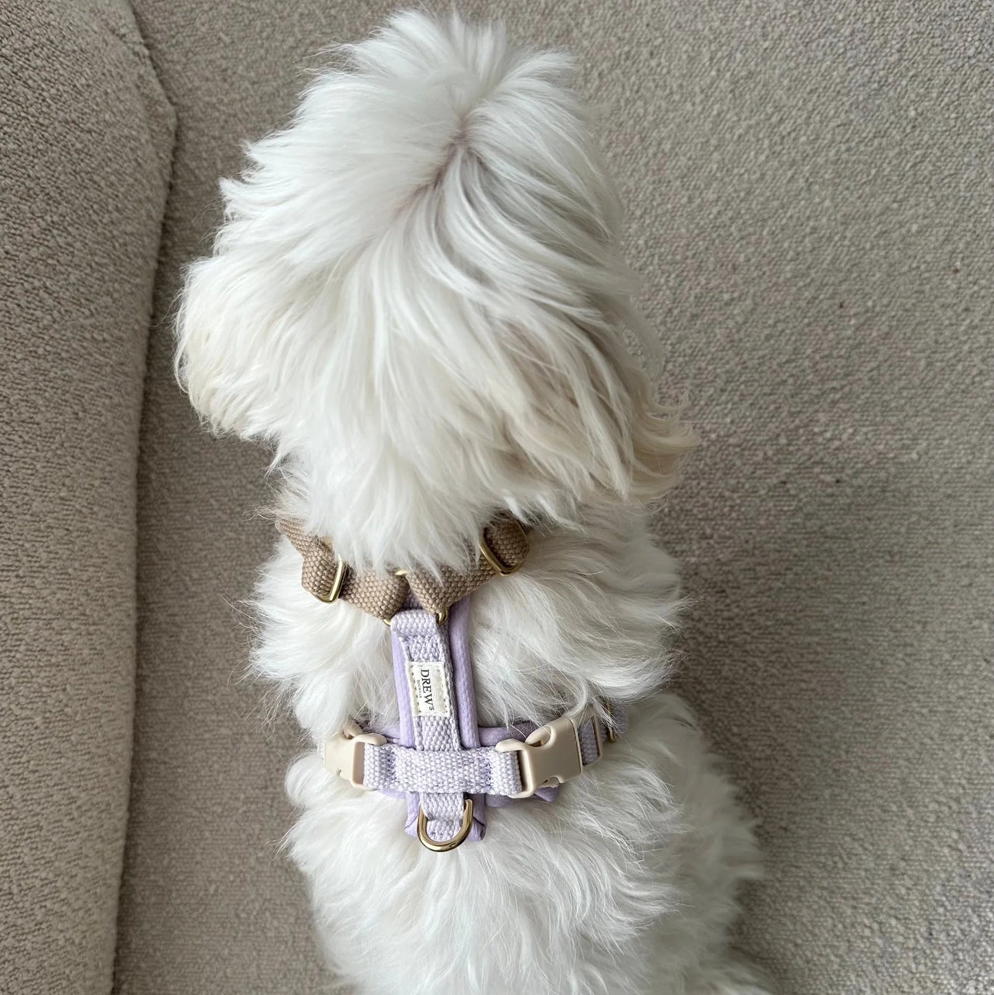 Adjustable PRO Hundegeschirr – Farbe Lavender / Soft