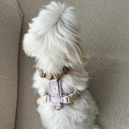 Adjustable PRO Hundegeschirr – Farbe Lavender / Soft