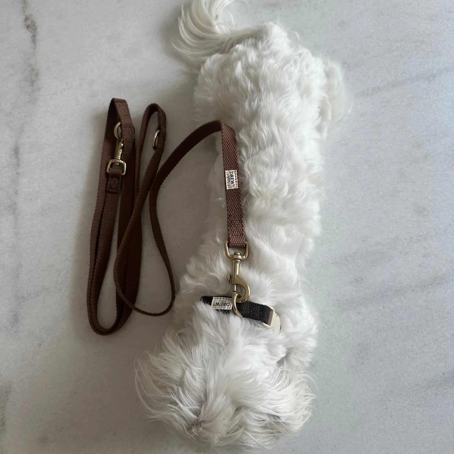 Adjustable Hundeleine – Farbe Braun