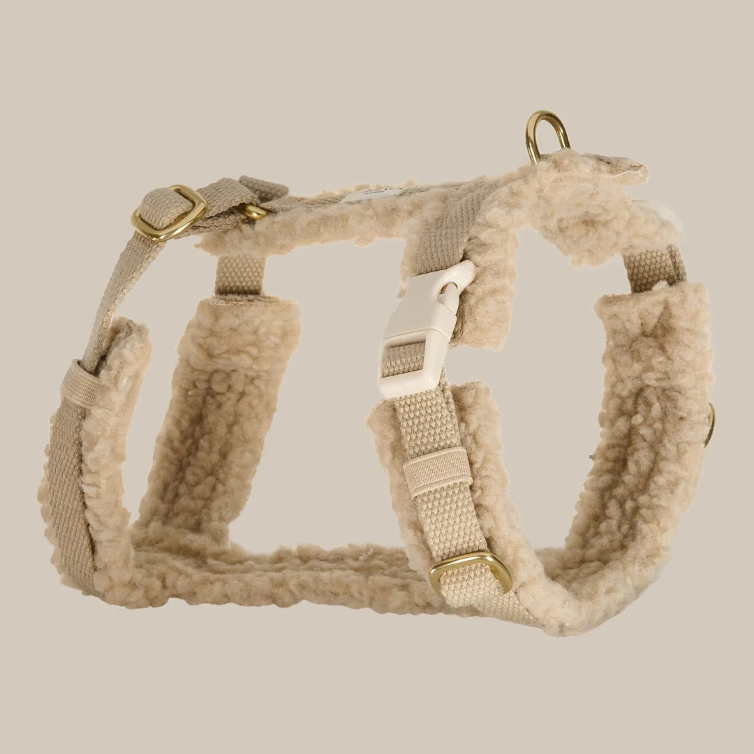 Teddy Hundegeschirr – Farbe Beige