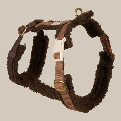 Teddy Hundegeschirr – Farbe Braun