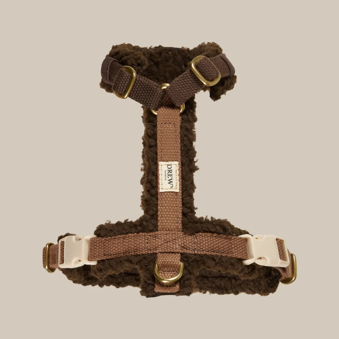 Teddy Hundegeschirr – Farbe Braun
