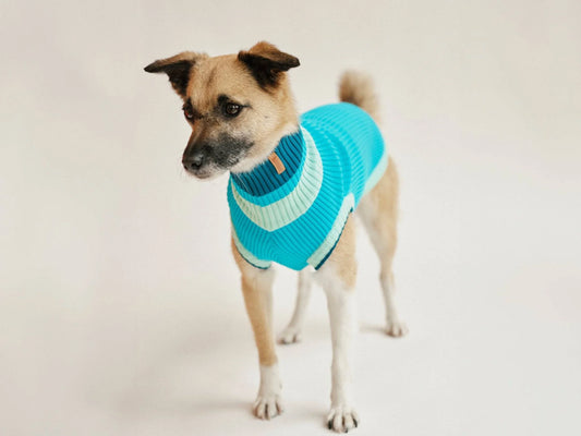 Glow Jumper 2.0 Neon Hundepullover – Crystal Sky (Blau/Hellblau)