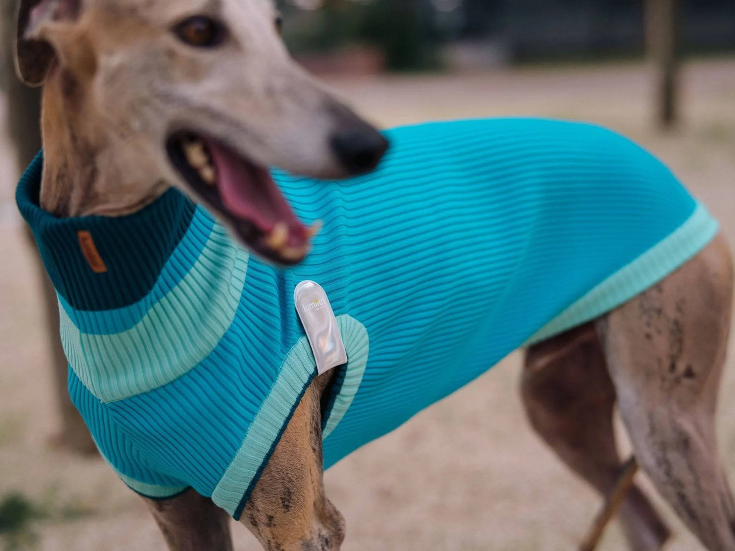 Glow Jumper 2.0 Neon Hundepullover – Crystal Sky (Blau/Hellblau)