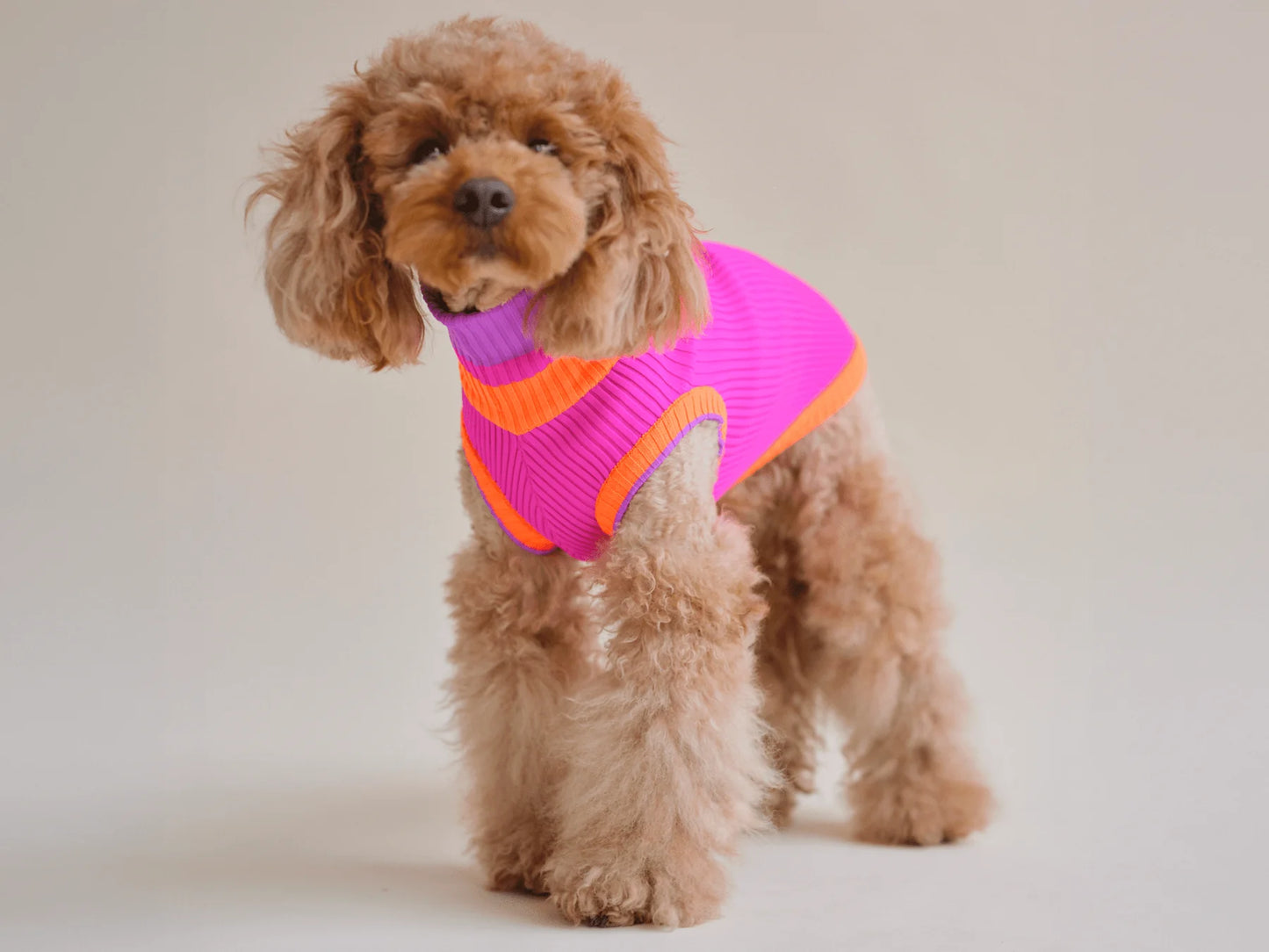 Glow Jumper 2.0 Neon Hundepullover – Electric Sunset (Lila/Orange)