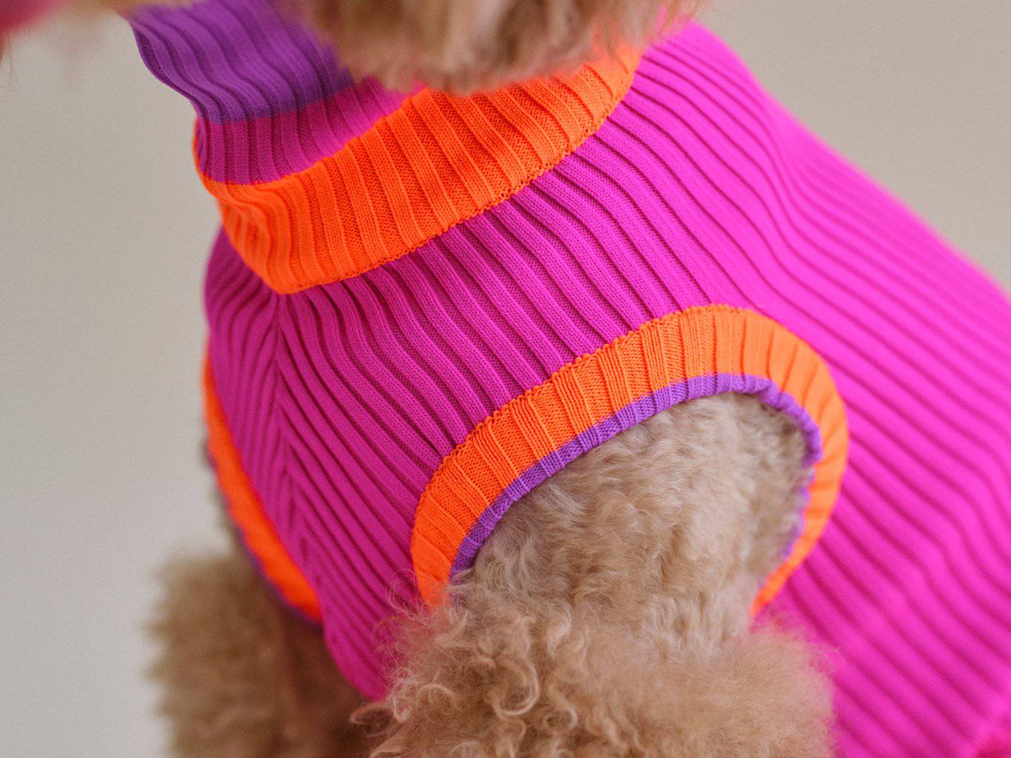 Glow Jumper 2.0 Neon Hundepullover – Electric Sunset (Lila/Orange)