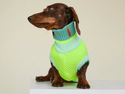 Glow Jumper 2.0 Neon Hundepullover – Neon Matcha (Türkis/Grün)