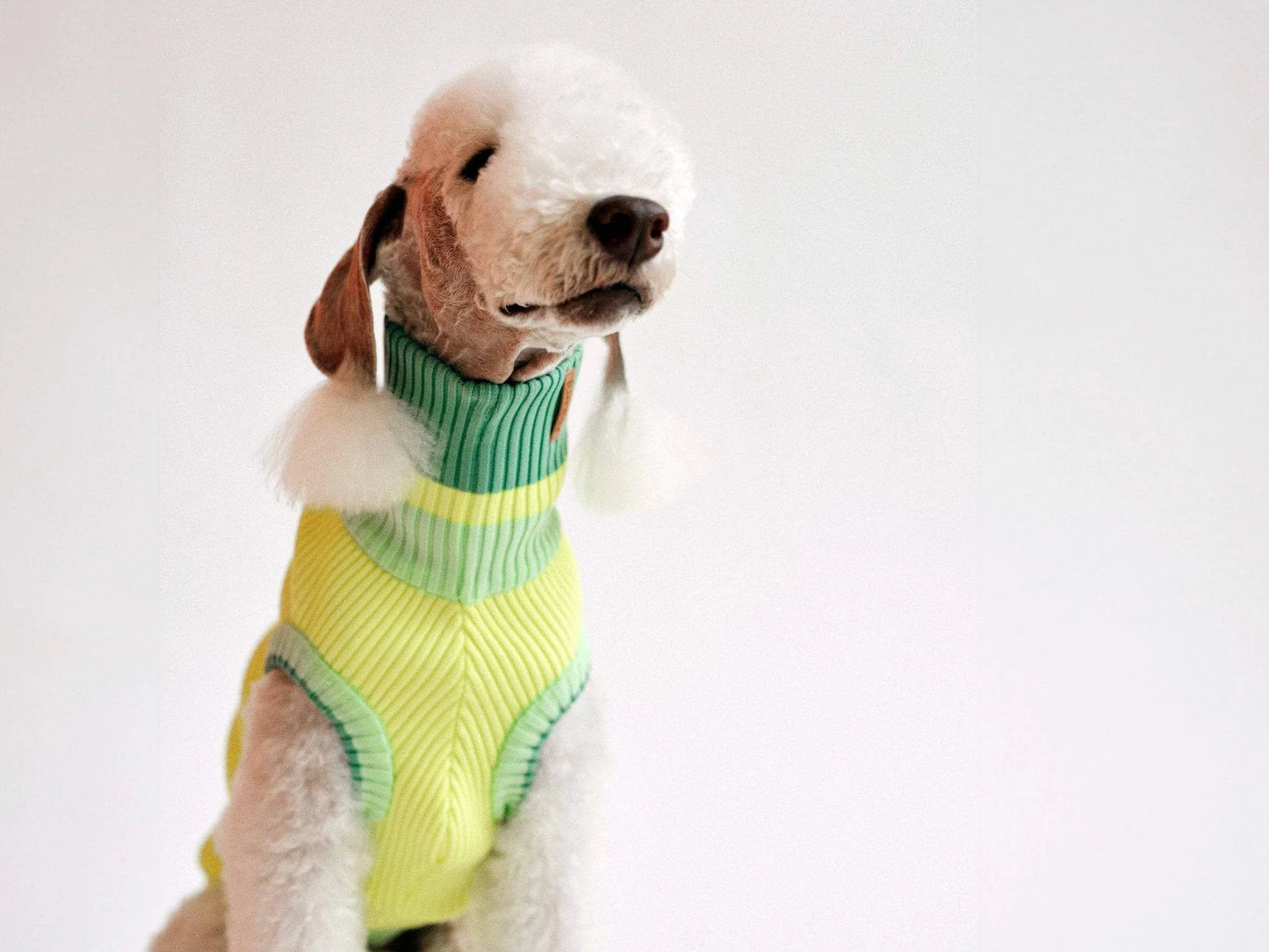 Glow Jumper 2.0 Neon Hundepullover – Neon Matcha (Türkis/Grün)
