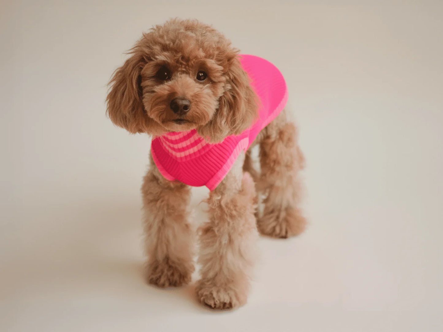 Glow Jumper 2.0 Neon Hundepullover – Pink Parade (Pink/Rosa)